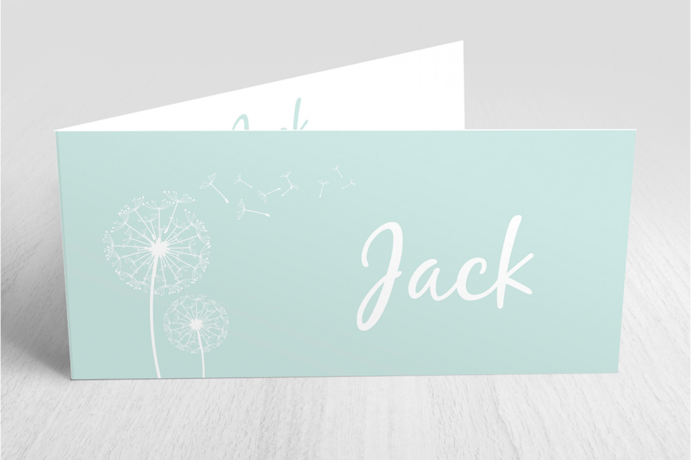 Twee blaasbloemen